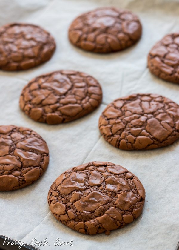 fudgy brownie chocolate cookies