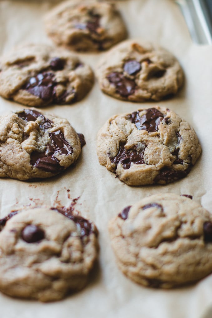 tahini chocolate chip cookies