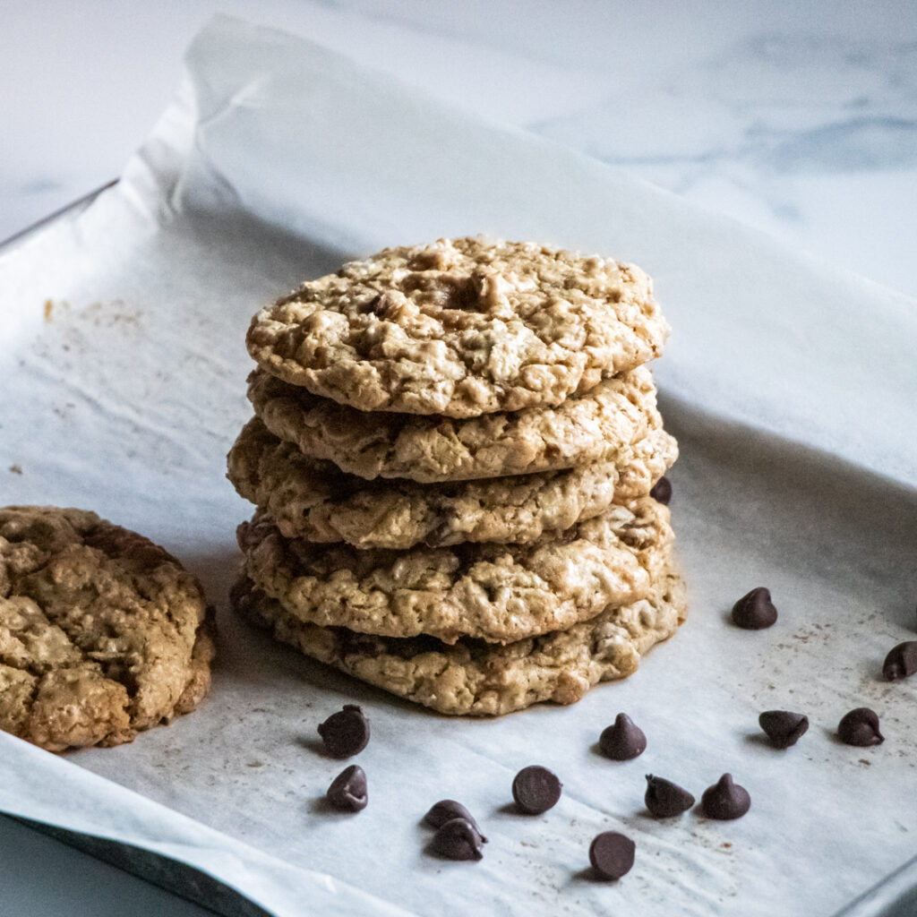 chewy chocolate chip oatmeal lactation cookies