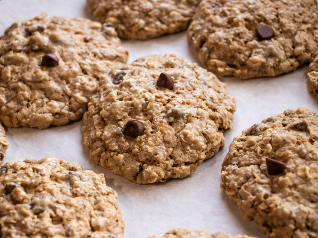 mayo clinic oatmeal chocolate chip high energy lactation cookies