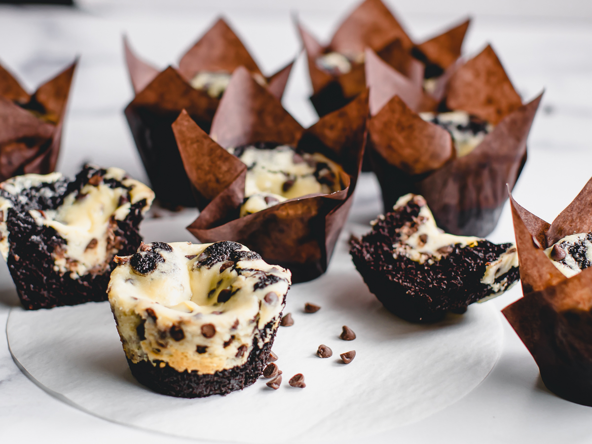 Baked cheesecake muffins with a dark chocolate cake.